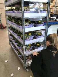 100kg/Shelf έντυσε το γαλβανισμένο δανικό καροτσάκι λουλουδιών